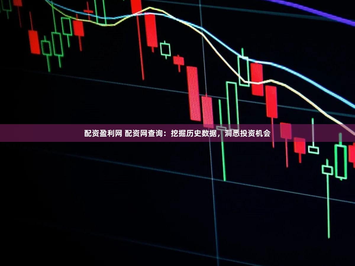 配资盈利网 配资网查询：挖掘历史数据，洞悉投资机会