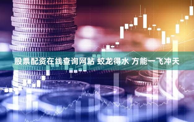 股票配资在线查询网站 蛟龙得水 方能一飞冲天