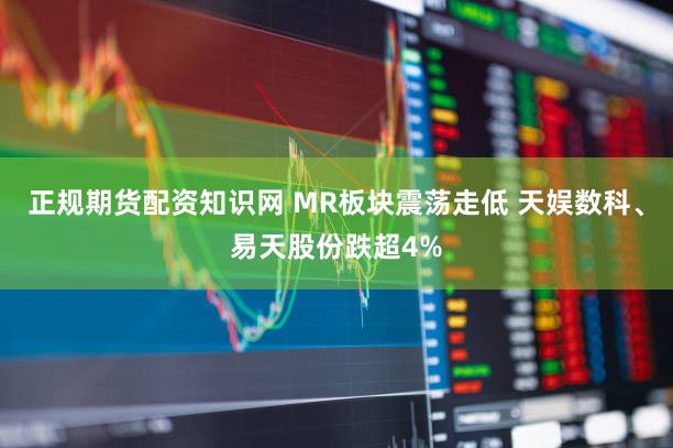 正规期货配资知识网 MR板块震荡走低 天娱数科、易天股份跌超4%