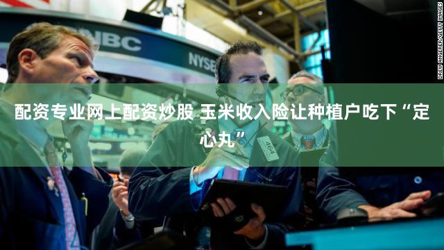 配资专业网上配资炒股 玉米收入险让种植户吃下“定心丸”