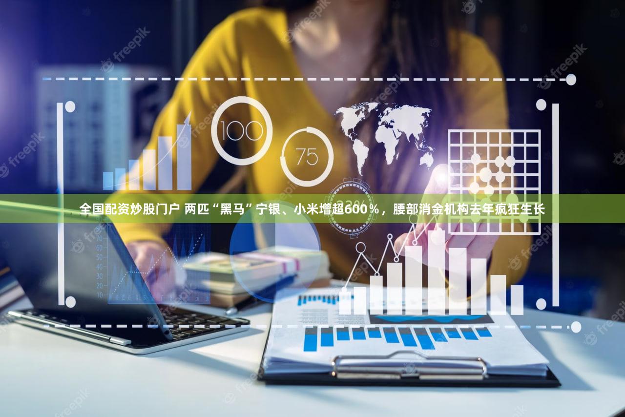 全国配资炒股门户 两匹“黑马”宁银、小米增超600%,腰部消金机构去年疯狂生长