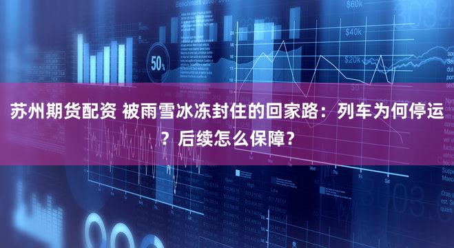 苏州期货配资 被雨雪冰冻封住的回家路：列车为何停运？后续怎么保障？