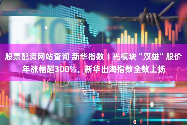 股票配资网站查询 新华指数丨光模块“双雄”股价年涨幅超300%,新华出海指数全数上扬