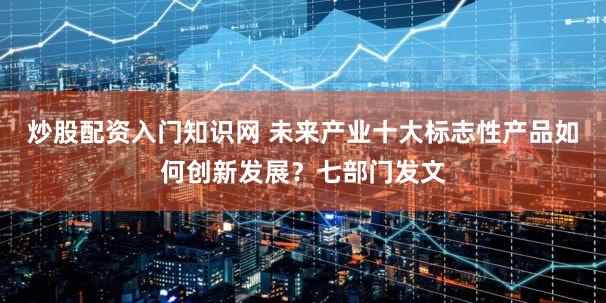 炒股配资入门知识网 未来产业十大标志性产品如何创新发展?七部门发文