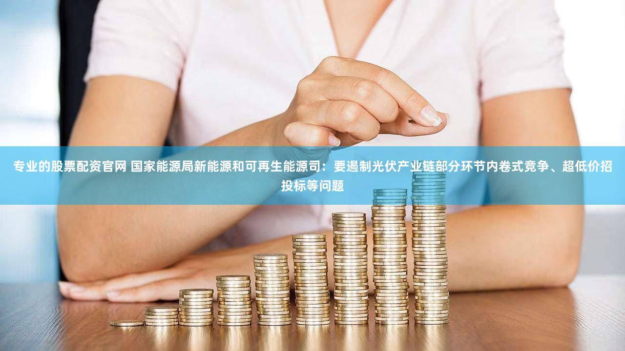 专业的股票配资官网 国家能源局新能源和可再生能源司：要遏制光伏产业链部分环节内卷式竞争、超低价招投标等问题