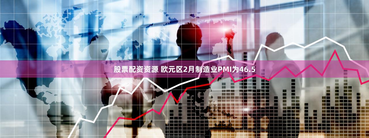 股票配资资源 欧元区2月制造业PMI为46.5