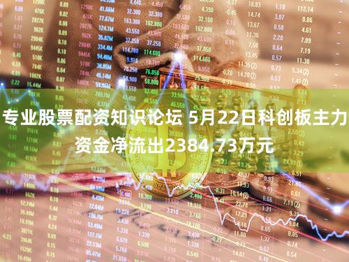专业股票配资知识论坛 5月22日科创板主力资金净流出2384.73万元