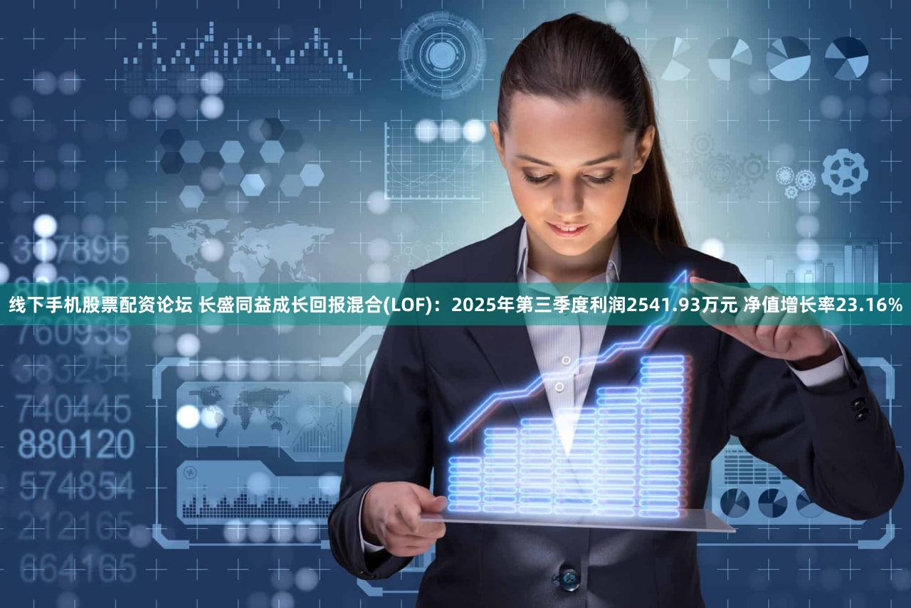 线下手机股票配资论坛 长盛同益成长回报混合(LOF):2025年第三季度利润2541.93万元 净值增长率23.16%