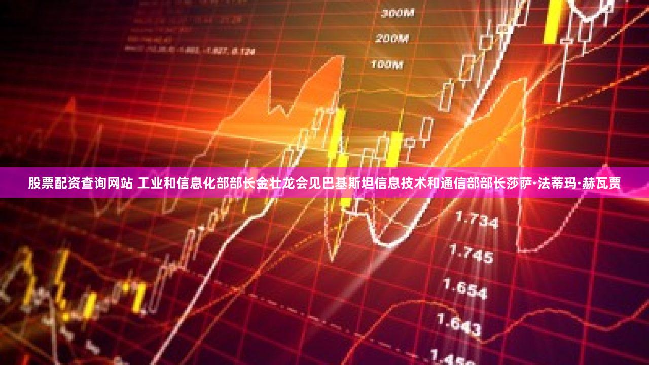 股票配资查询网站 工业和信息化部部长金壮龙会见巴基斯坦信息技术和通信部部长莎萨·法蒂玛·赫瓦贾