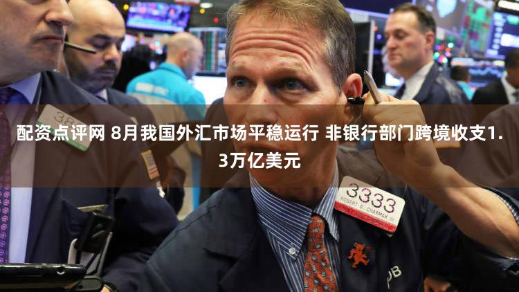 配资点评网 8月我国外汇市场平稳运行 非银行部门跨境收支1.3万亿美元
