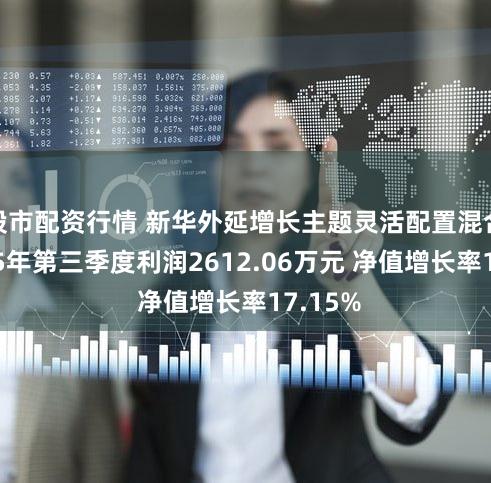 股市配资行情 新华外延增长主题灵活配置混合：2025年第三季度利润2612.06万元 净值增长率17.15%