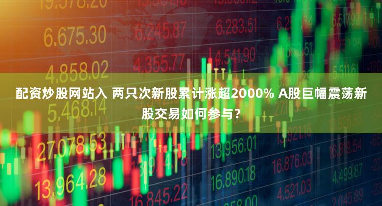 配资炒股网站入 两只次新股累计涨超2000% A股巨幅震荡新股交易如何参与？