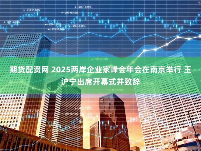 期货配资网 2025两岸企业家峰会年会在南京举行 王沪宁出席开幕式并致辞